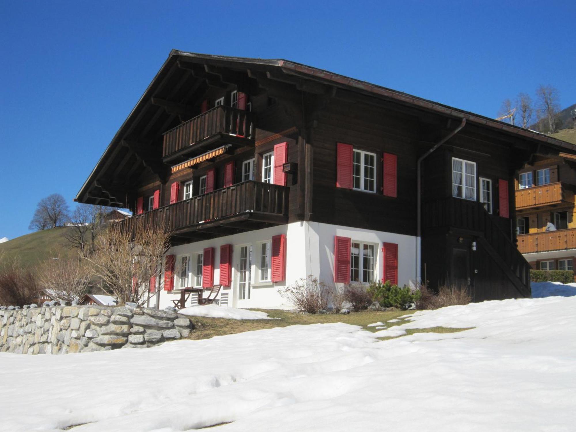 Chalet Aiiny Grindelwald Ngoại thất bức ảnh
