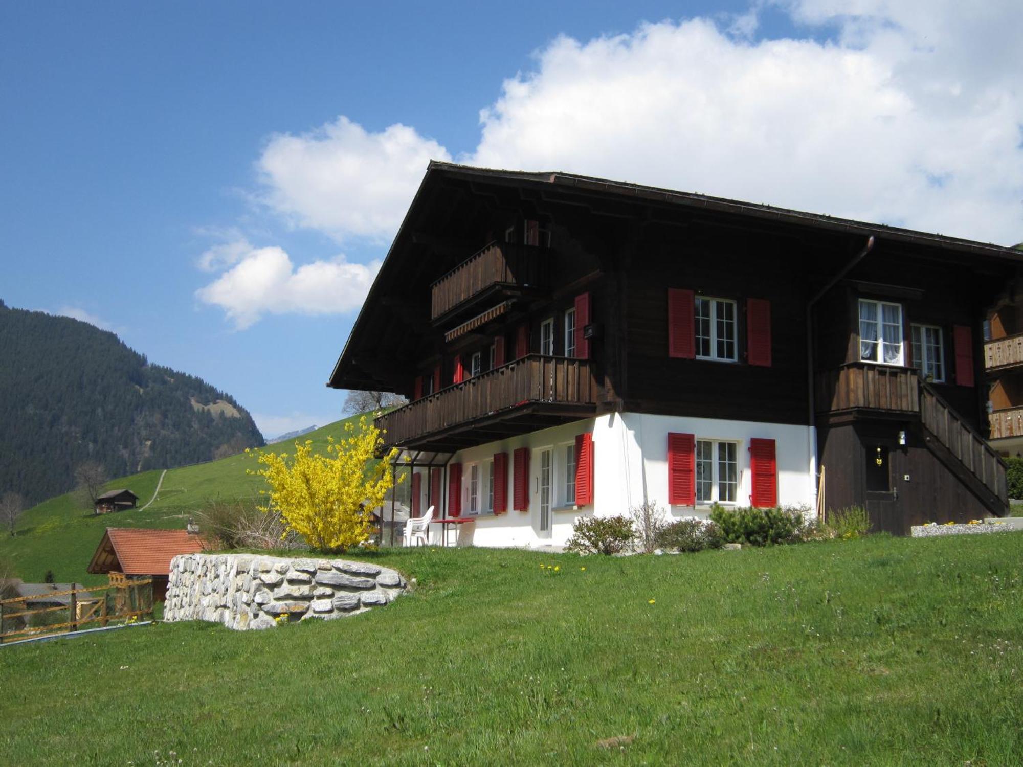 Chalet Aiiny Grindelwald Ngoại thất bức ảnh